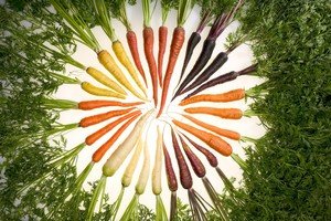 Пищевая ценность моркови