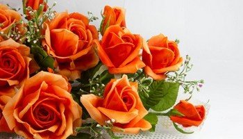 Символизм оранжевых роз