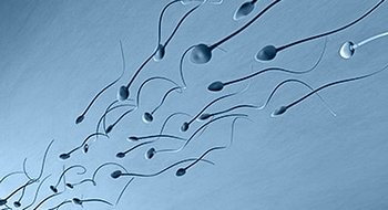 Основные правила сбора спермы