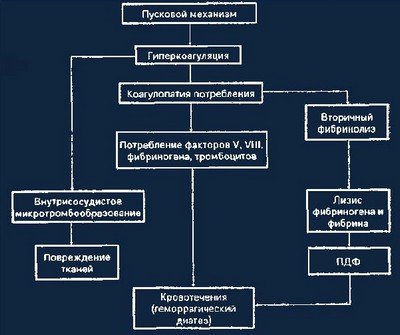 Механизм и патогенез ДВС-синдрома