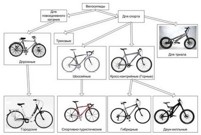 Какие существуют типы велосипедов?