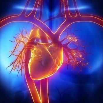 Наблюдение за деятельностью сердца у больных