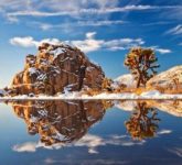 Каковы особенности национального парка Джошуа-Три