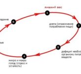 Так ли страшен для похудения эффект «йо-йо»