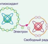 Какие бывают природные антиоксиданты?