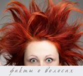 Факты и вымыслы о волосах