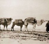 Первая советская медико-санитарная экспедиция русских врачей в Монголию