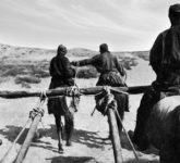Вторая советская медико-санитарная экспедиция русских врачей в Монголию