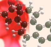 Гормональные изменения в климаксе и менопаузе