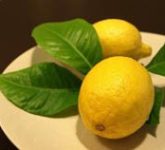 Польза лимона для здоровья