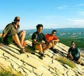 Терапия увлечением