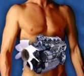 Узнайте свой обмен веществ