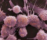 Что такое рак?