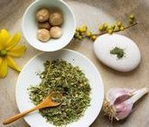 Фитотерапия