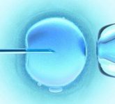 Что такое ЭКО