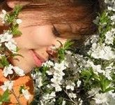 Немного об ароматерапии