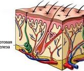 Гидраденит
