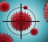 Неспецифический иммунитет: Клетки иммунной системы