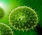 Приобретенный иммунитет