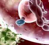 Типы иммунитета и его нарушений