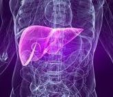 Как защитить печень?