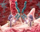 Триггерные факторы в развитии аутоиммунных заболеваний