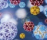 Дефекты гуморального звена иммунитета