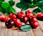 В чем польза клюквы