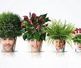 Польза комнатных растений для людей