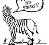 Снятие стресса