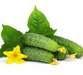 Главные полезные свойства огурцов